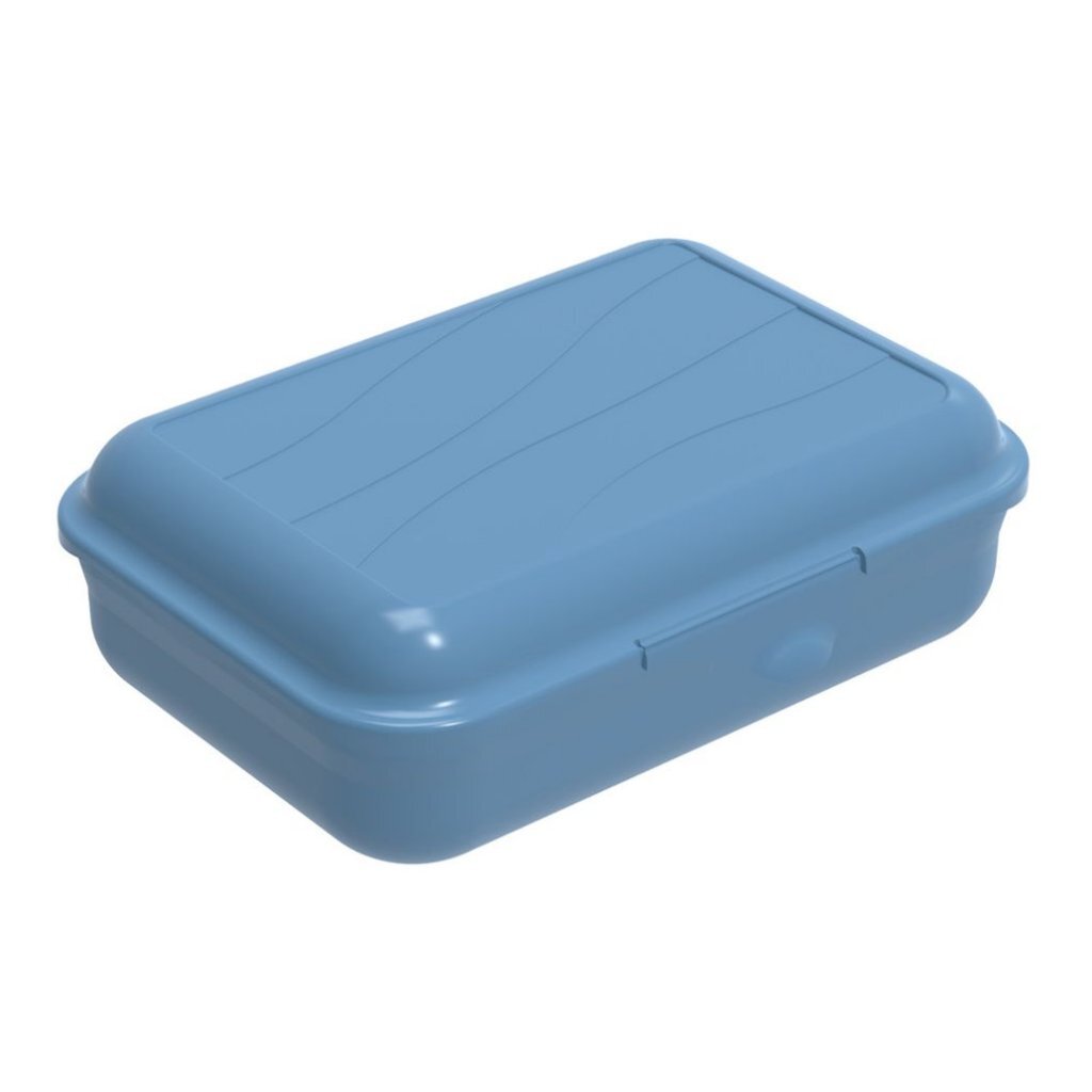 Rotho Fun Lunchbox Met Verdeelschotje 0.9L Horizon Blauw