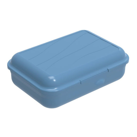 Rotho Fun Lunchbox Met Verdeelschotje 0.9L Horizon Blauw