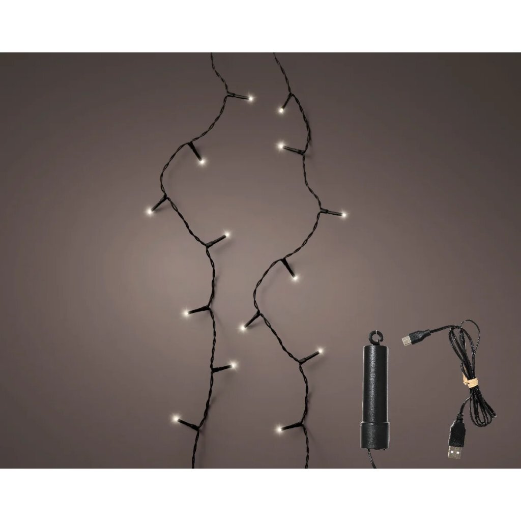 Lumineo Led Snoer 200 Leds 150 Cm Zwart Warm Wit Licht